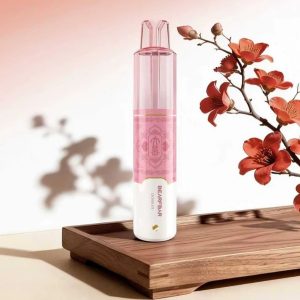 正品比熊BEARFBAR SOLO 15000口中国风二十四节气云纹主题外观AI芯片弹性数控双陶瓷芯一次性电子烟 - 图片 4